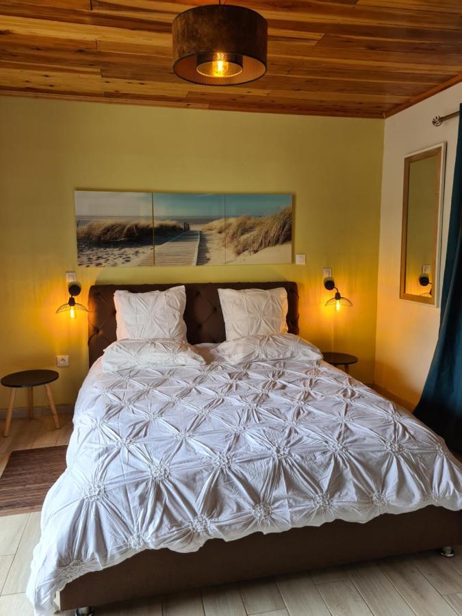 Chambres Et Tables D'Hote Du Voyageur La Plaine des Palmistes Εξωτερικό φωτογραφία