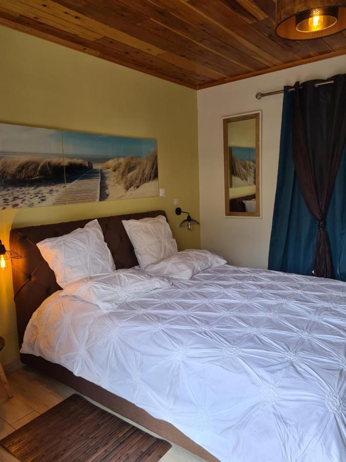 Chambres Et Tables D'Hote Du Voyageur La Plaine des Palmistes Εξωτερικό φωτογραφία